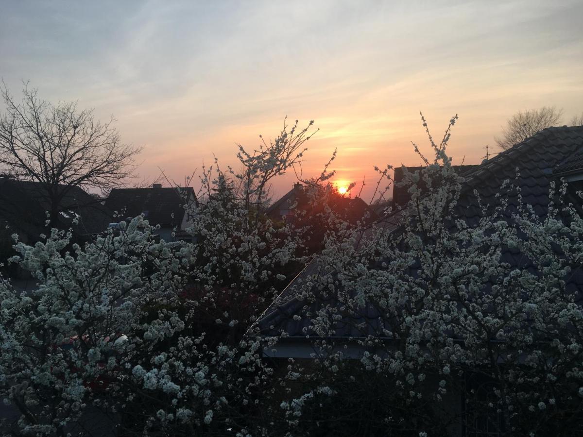 Spechtstrasse 65 Ferienwohnung 诺德霍恩 外观 照片